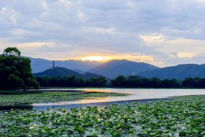 玉泉山