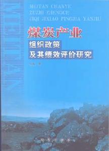 煤炭產業組織政策及其績效評價研究