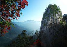 陝西天竺山