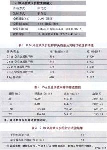 0.50 英寸貝奧武夫自動步槍