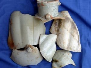 北宋中晚期白舍窯壺類標本