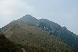 鳳凰山[香港特別行政區鳳凰山]