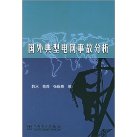 國外典型電網事故分析