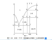 二元系統