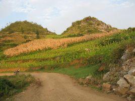 三岔灣自然村[雲南昭通鎮雄縣果珠鄉雲嶺村委三岔灣自然村]