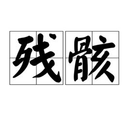 殘骸[漢語辭彙]