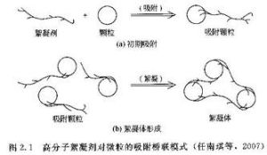 絮凝酵母