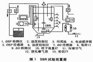 污泥指數