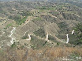 寺兒村[陝西省延安市延長縣雷赤鎮寺兒村]