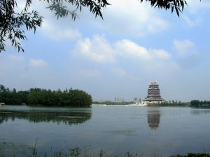 沙溝湖水杉公園