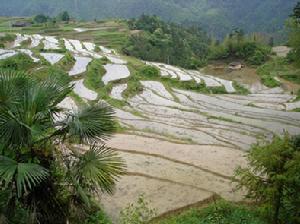 （圖）水塔村