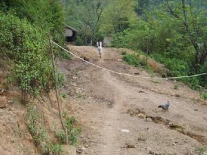 進村道路