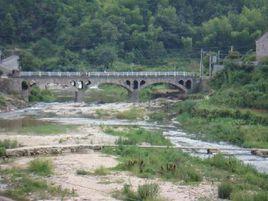 董村村[浙江省紹興市新昌縣沙溪鎮董村村]