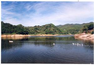 北宅村[北京市懷柔區橋梓鎮轄村]