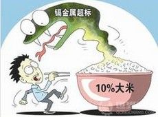 鎘超標大米