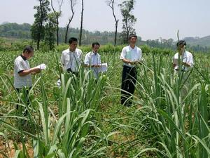 遺傳獲得量