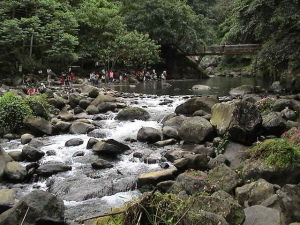 山美村[台灣嘉義縣阿里山鄉下轄村]