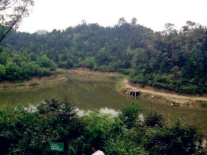 鄰水縣銅鑼山生態旅遊度假區