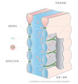 先天性黑色素細胞痣症