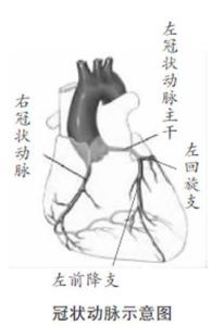 前降支