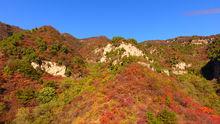 仙台山[河北省井陘縣仙台山]