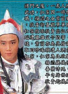 狄青[1986年苗僑偉主演TVB港劇]