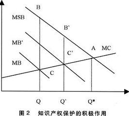 智慧財產權保護制度的經濟學分析