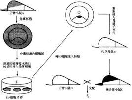 嵌合體