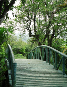 澄海盛安百草園