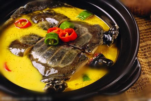 甲魚湯