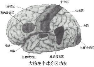 症狀性癲癇綜合徵