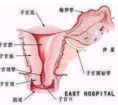 接觸性出血