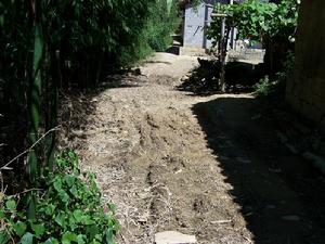 騎馬箐自然村村內道路