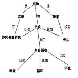 認知結構論