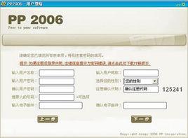 pp點點通2006