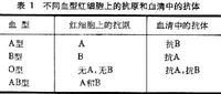 ABO血型鑑定