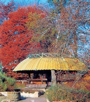 柏林大萊植物園