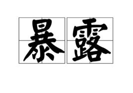 暴露[漢語詞語]