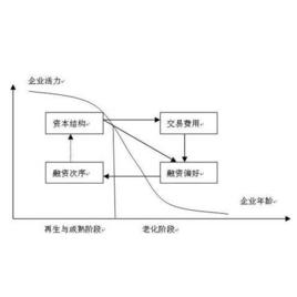 融資優序理論