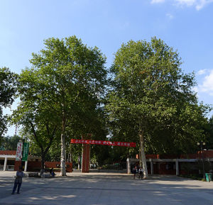 鹽城市人民公園