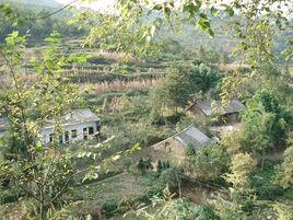 田灣自然村[雲南昭通鎮雄縣母享鎮灣溝村委會田灣自然村]