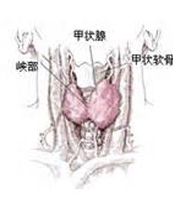 甲功五項