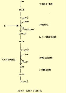 原電子圖解