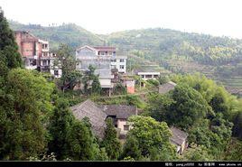 鄭山村[雲南省保山騰衝縣芒棒鎮鄭山村]