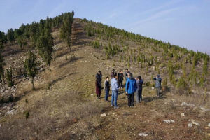 山東齊長城遺址