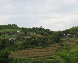 龍塘山自然村