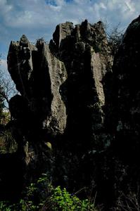 寺口村[湖北省通山縣楊芳林鄉寺口村]