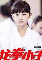 龍拳小子[2016年劉芮麟、童菲主演功夫喜劇電影]