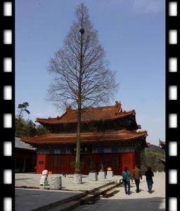 靈山寺側院