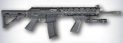 SIG 556